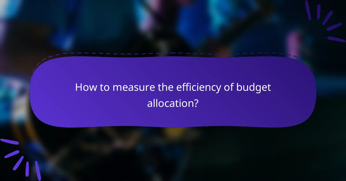 How to measure the efficiency of budget allocation?