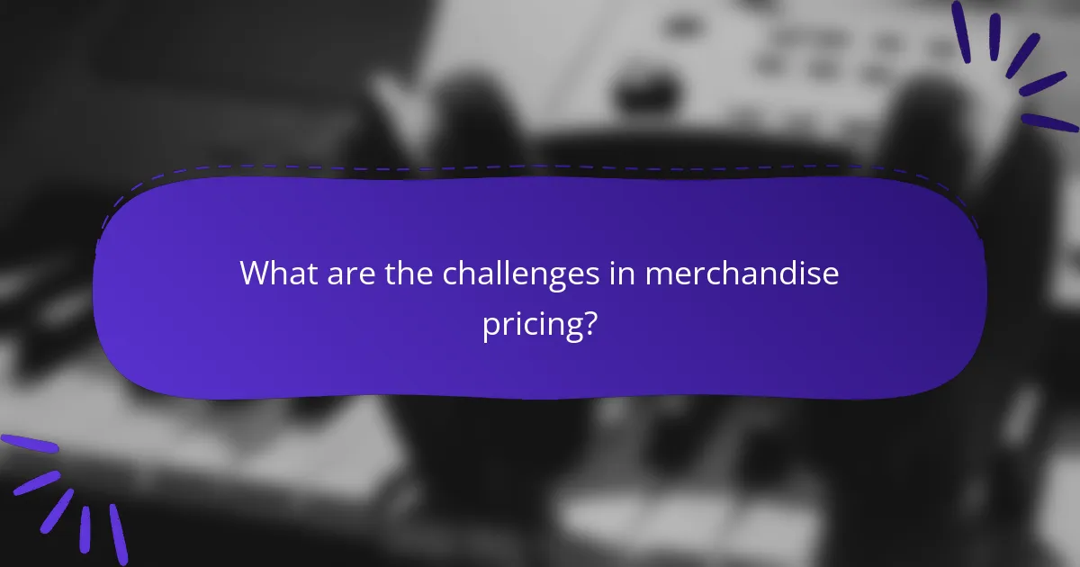 What are the challenges in merchandise pricing?