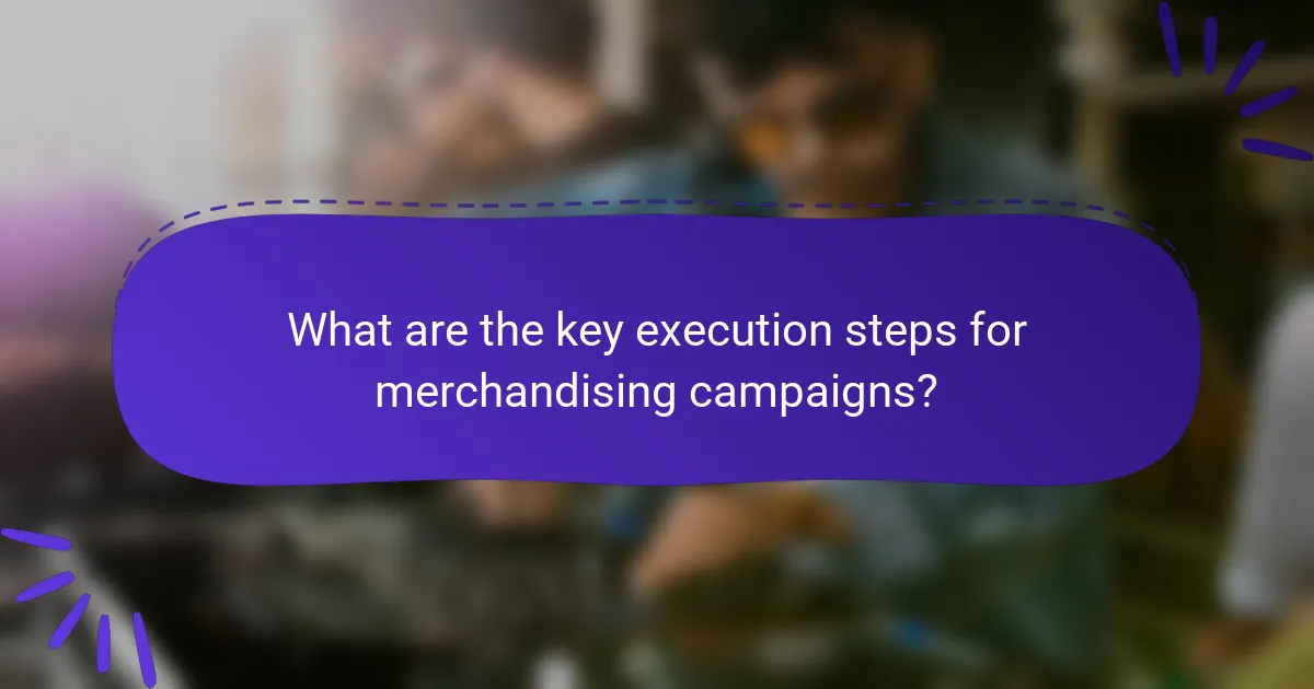 What are the key execution steps for merchandising campaigns?